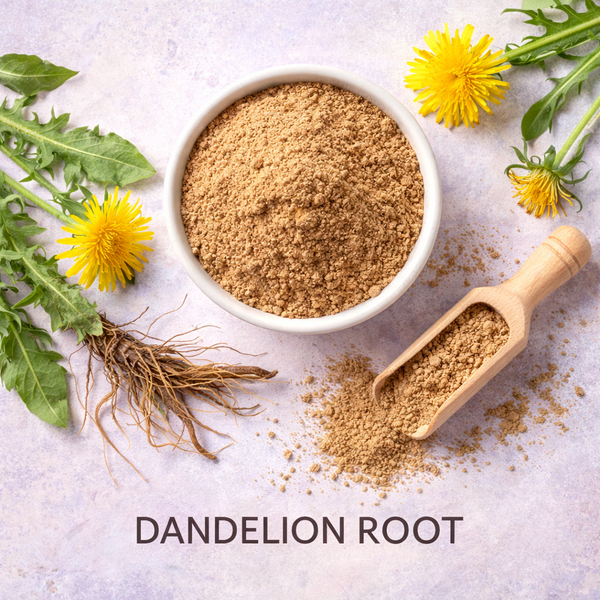 Dandelion Root