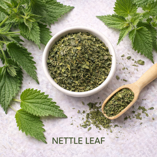 Nettle Leaf